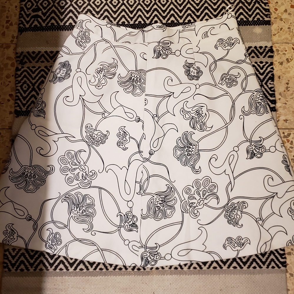 Zara Skirt